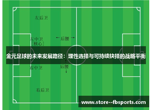 金元足球的未来发展路径：理性选择与可持续抉择的战略平衡