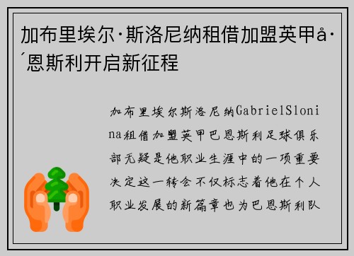加布里埃尔·斯洛尼纳租借加盟英甲巴恩斯利开启新征程